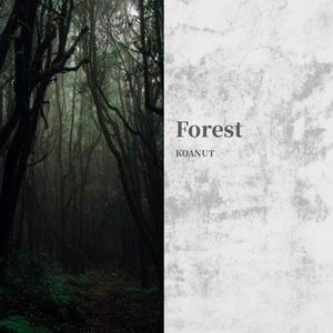 Forest(VIP)