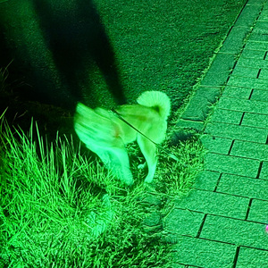 マシュマロ (feat.初音ミク)