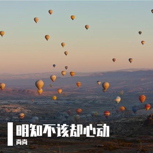 明知不该却心动