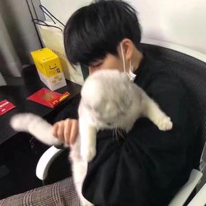 洋葱