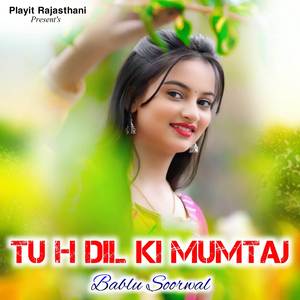 Tu h Dil Ki Mumtaj
