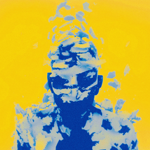 Skin To Bone (Remix)