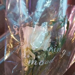 我撕裂我的身体 (Cover 我不茗白 & Misterk)