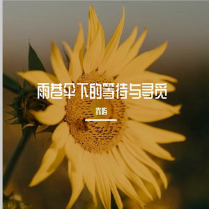 雨巷伞下的等待与寻觅