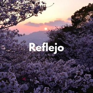 Reflejo
