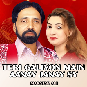 Teri Galiyon Main Aanay Janay Sy (1)
