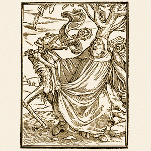 La Via tra i Cipressi