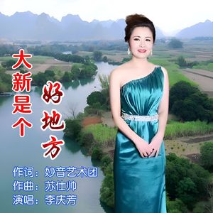 大新是个好地方