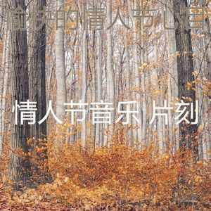 精彩鲜花花束环境