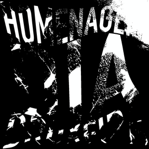 HOMENAGEM DIA BRUXEIRA