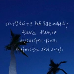 Silent(可惜思念无声氛围版)