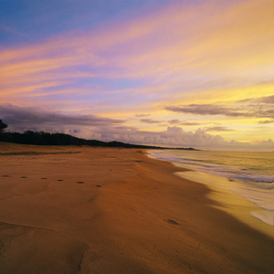 夏影 (feat.星尘)