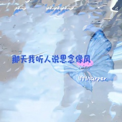 那天我听人说思念像风