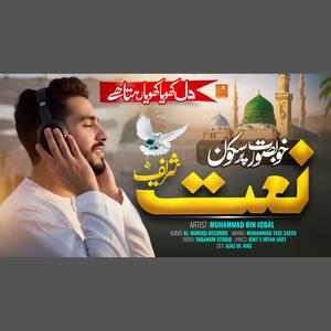 Dill Khoya Khoya Rehta Hai (Naat)