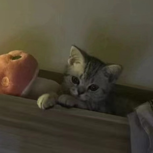 刻在我心底的名字