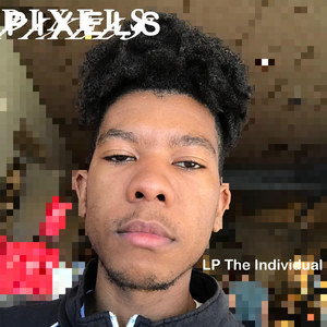 Bumblebees (Lp the Individual Remix)