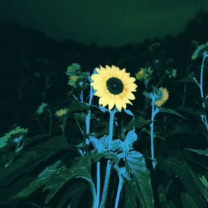 Too Young To Be This Sad