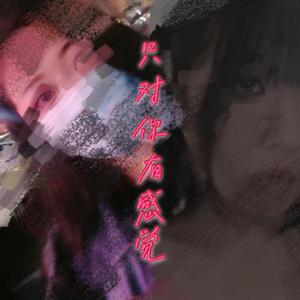 只对你有感觉（翻自 飞轮海）