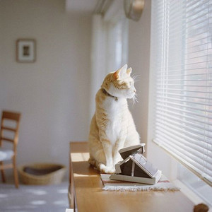 他（Cover 周艺博）