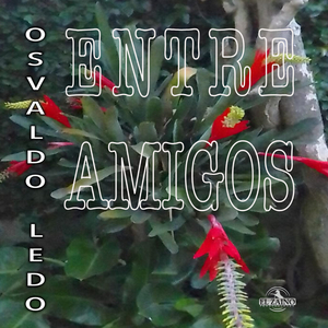 Este Oficio de Cantor