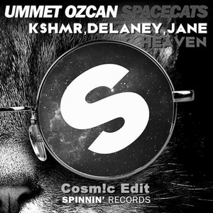 Ummet Ozcan vs. Shaun Frank, KSHMR, Delaney Jane - Spacecats Heaven (Cosm!c Edit)