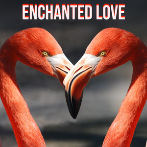 Enchanted Love