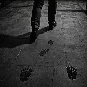 野人 (2026魔力歌先生现场)