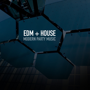 I DANCE THE NIGHT AWAY (HARD HOUSE EMOTIONAL TRANCE MIX)