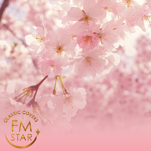 Can't Fight This Feeling (ポップソングカバー)