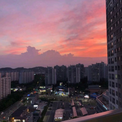 不知爱情