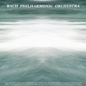 Concerto in E Major for Violin, Strings and Continuo, Op. 8, No. 1, Rv 269, la Primavera(Spring): III. Allegro