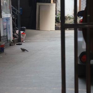 爸爸收（prod.Dexter Yu）