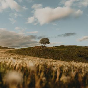 月影下的迷途者