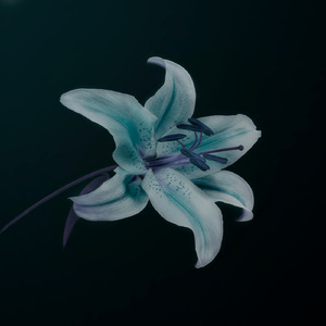 Projeção