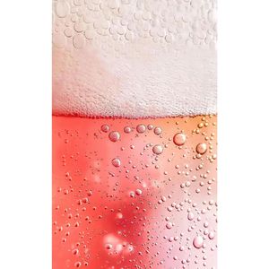 今朝有酒今朝醉