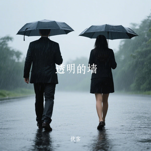 透明的墙