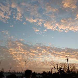 暗里着迷（改编版）_2022-03-15_131013