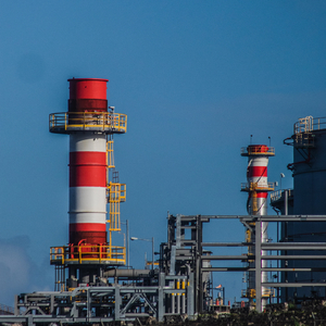 Acid Flowers (Narick 2002 Unreleased)