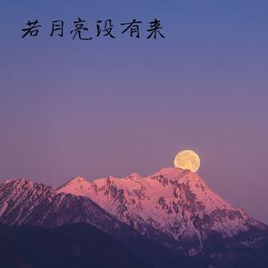 湿透的脚印