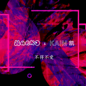 弦子-不得不爱 （ MARKO & KAIM凯 Remix ）