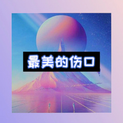 英文重鼓电音节奏神曲 DJ魏总 (爆改版)