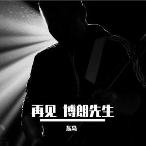 再见博朗先生 音频版