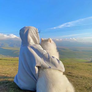 大漠孤烟与驼铃