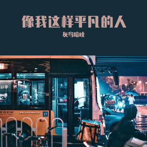 像我这样平凡的人