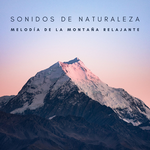 Velocidad Del Río