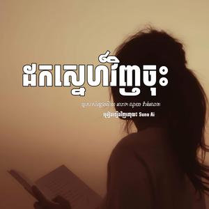 ដកស្នេហ៍វិញចុះ | បទចម្រៀងCoverដោយអេអាយ | ម្ចាស់សំនៀងដើម៖ ណូយ វ៉ាន់ណេត | បទចេញថ្មី | Khmer Song | Sad Song