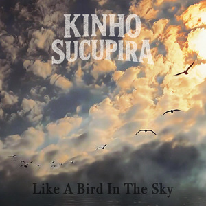 Like a Bird in the Sky