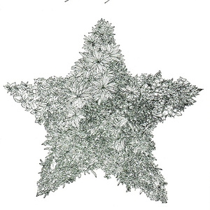 Winter Bird, Storm Glass