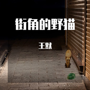 街角的野猫