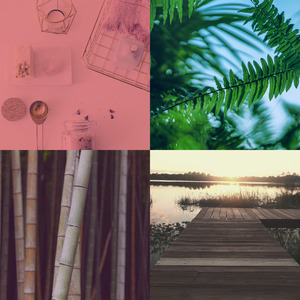 抚慰的回春回忆